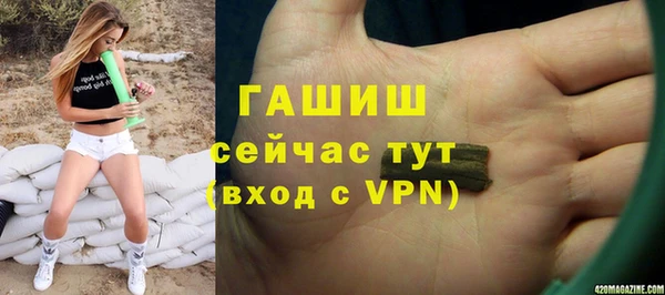 шишки Аркадак