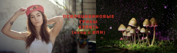 шишки Аркадак
