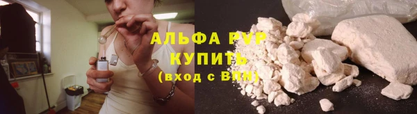 шишки Аркадак
