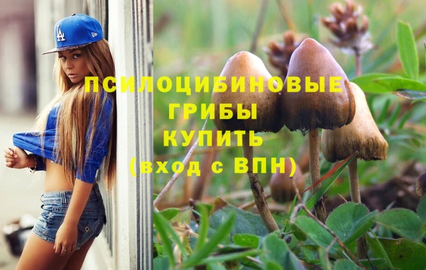 дживик Гусиноозёрск