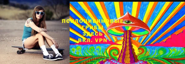 МДПВ Арсеньев