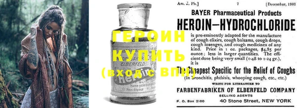 шишки Аркадак