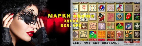 тгк Армянск