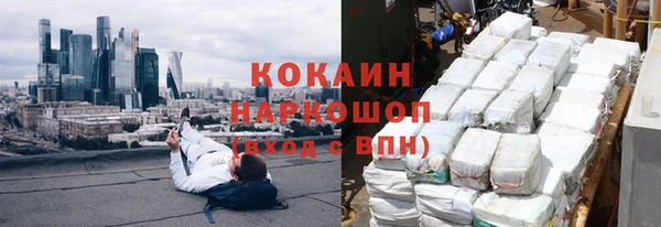 шишки Аркадак