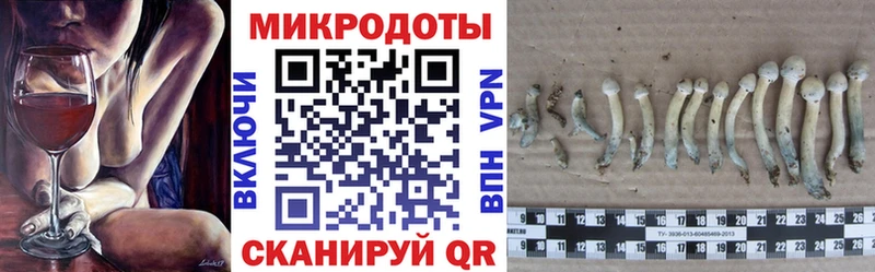 цена Чернушка Псилоцибиновые грибы мухоморы
