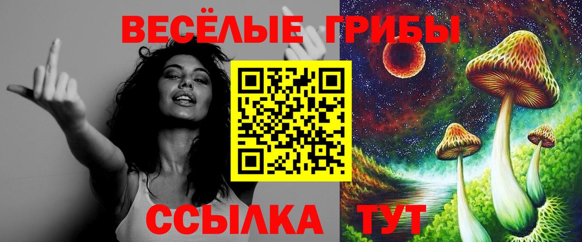 Галлюциногенные грибы Psilocybine cubensis Чернушка