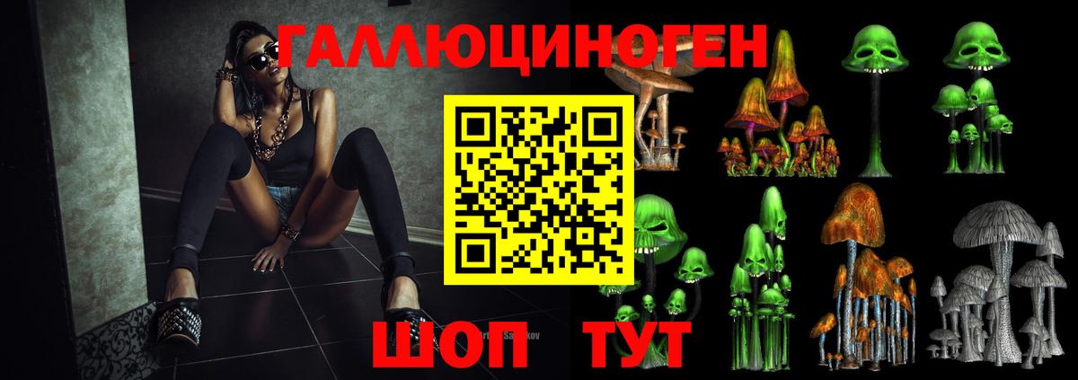 Псилоцибиновые грибы мухоморы  Галлюциногенные грибы мицелий  Чернушка  Вход с VPN 