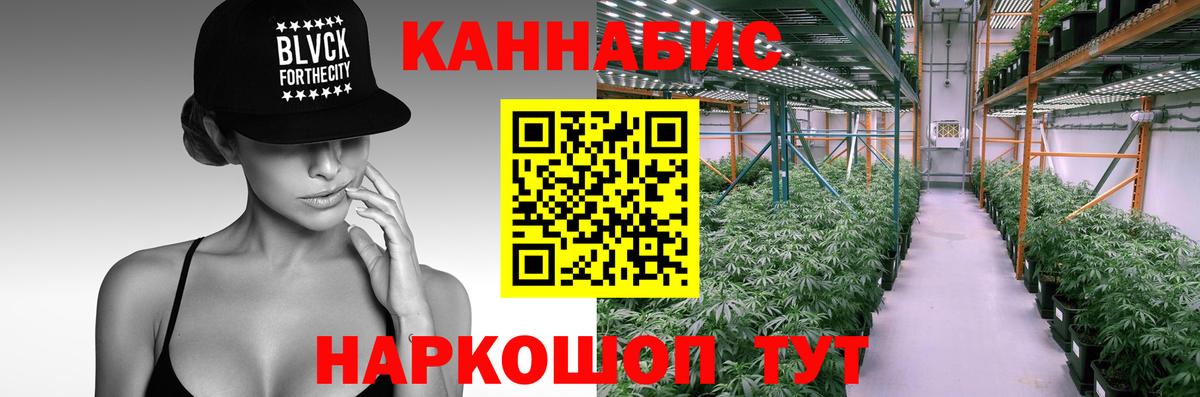 Шишки марихуана ГИДРОПОН Чернушка